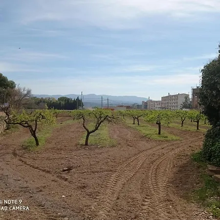 Enric D'ossó * Tortosa